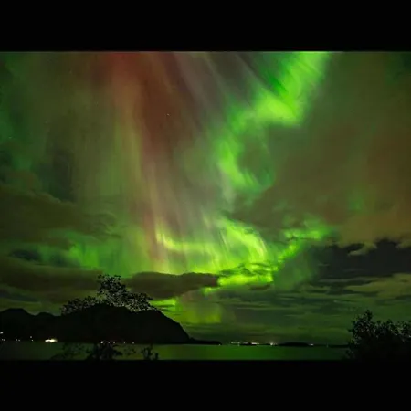 Iwony * Molde