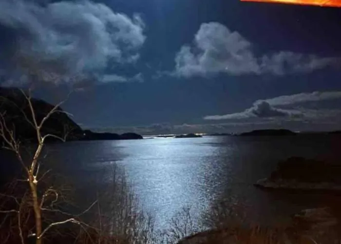 Iwony * Molde