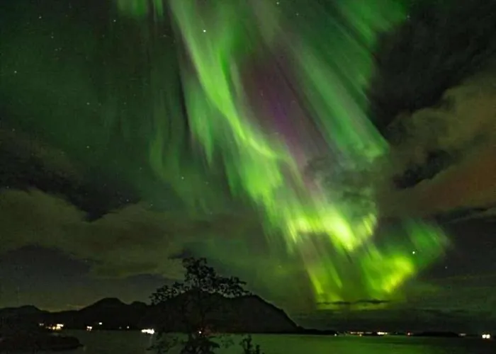 Iwony Molde
