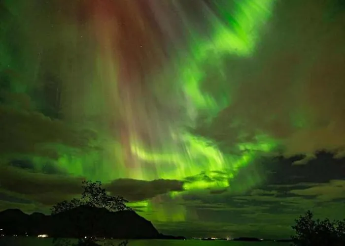 Iwony * Molde
